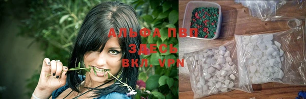 ECSTASY Бородино