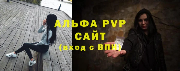 ECSTASY Бородино
