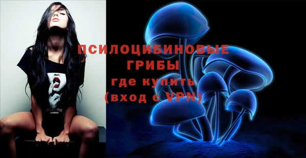 ПСИЛОЦИБИНОВЫЕ ГРИБЫ Бугульма