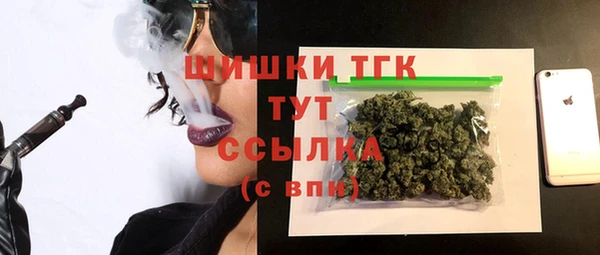 ECSTASY Бородино