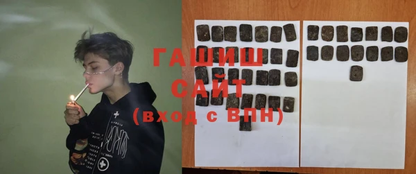 ECSTASY Бородино