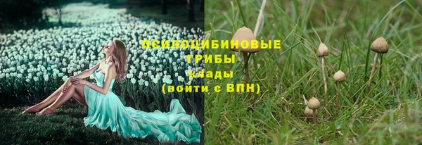 ПСИЛОЦИБИНОВЫЕ ГРИБЫ Бугульма