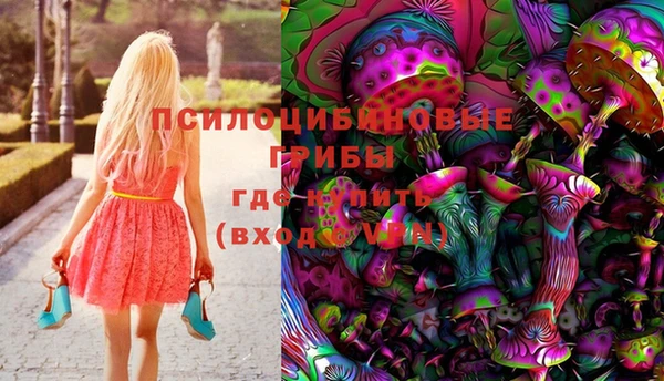 ECSTASY Бородино