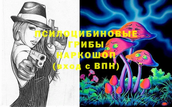 ПСИЛОЦИБИНОВЫЕ ГРИБЫ Бугульма