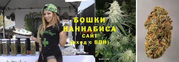 ECSTASY Бородино