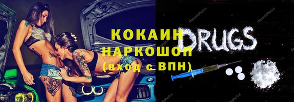 ECSTASY Бородино