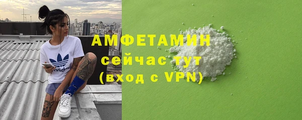 ECSTASY Бородино