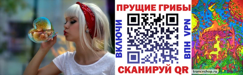 OMG tor  Мещовск  Галлюциногенные грибы ЛСД 