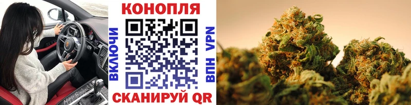 как найти закладки  omg как войти  Марихуана семена  Мещовск 